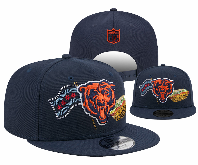 Chicago Bears 2025 Stitched Snapback Hats 013